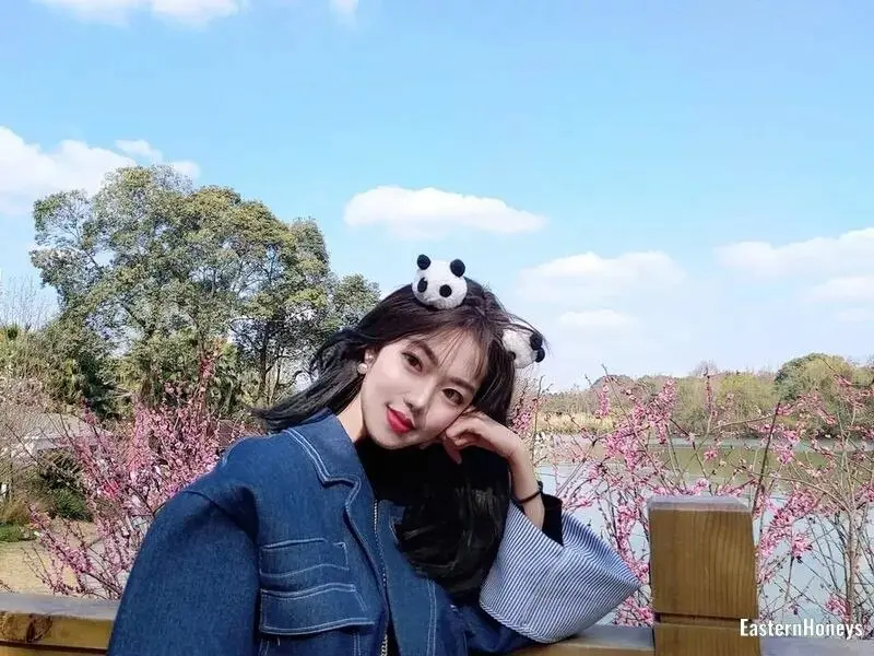 Shufang Meng Profile image 3