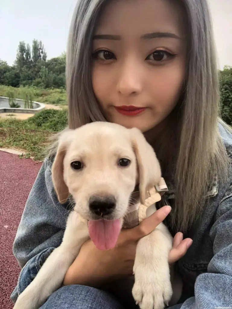 Jingjing Profile image 3